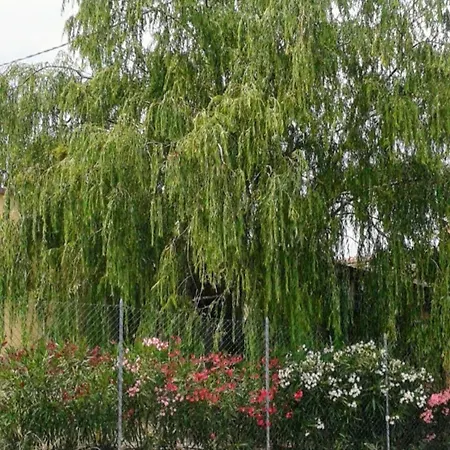 Casa Silos * Arcevia